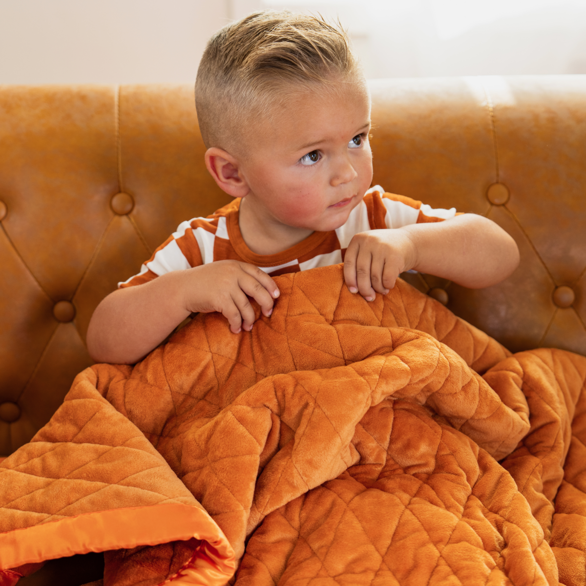 Weighted Toddler Blanket