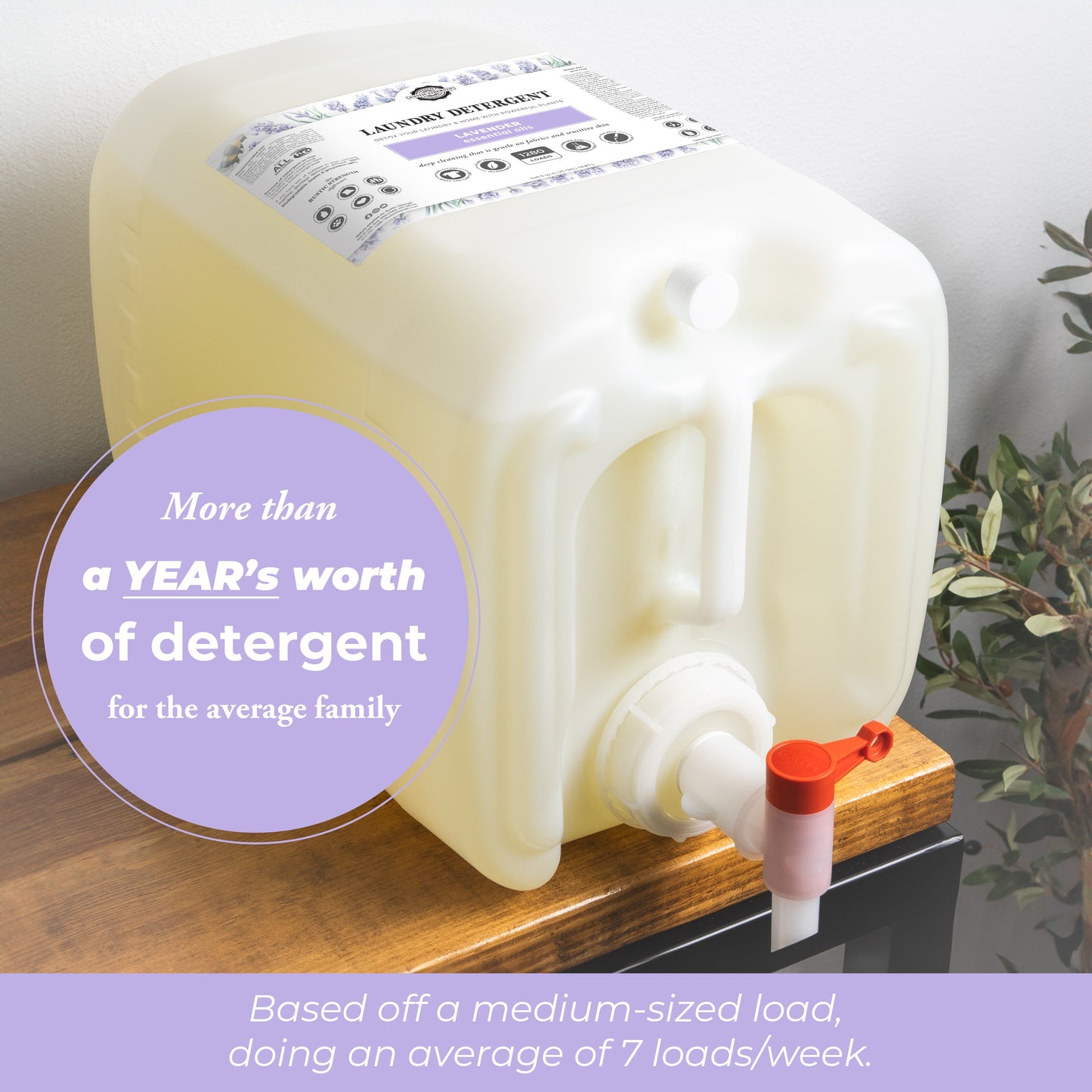 Laundry Detergent | Popular Scents or Unscented