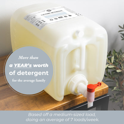 Laundry Detergent | Popular Scents or Unscented