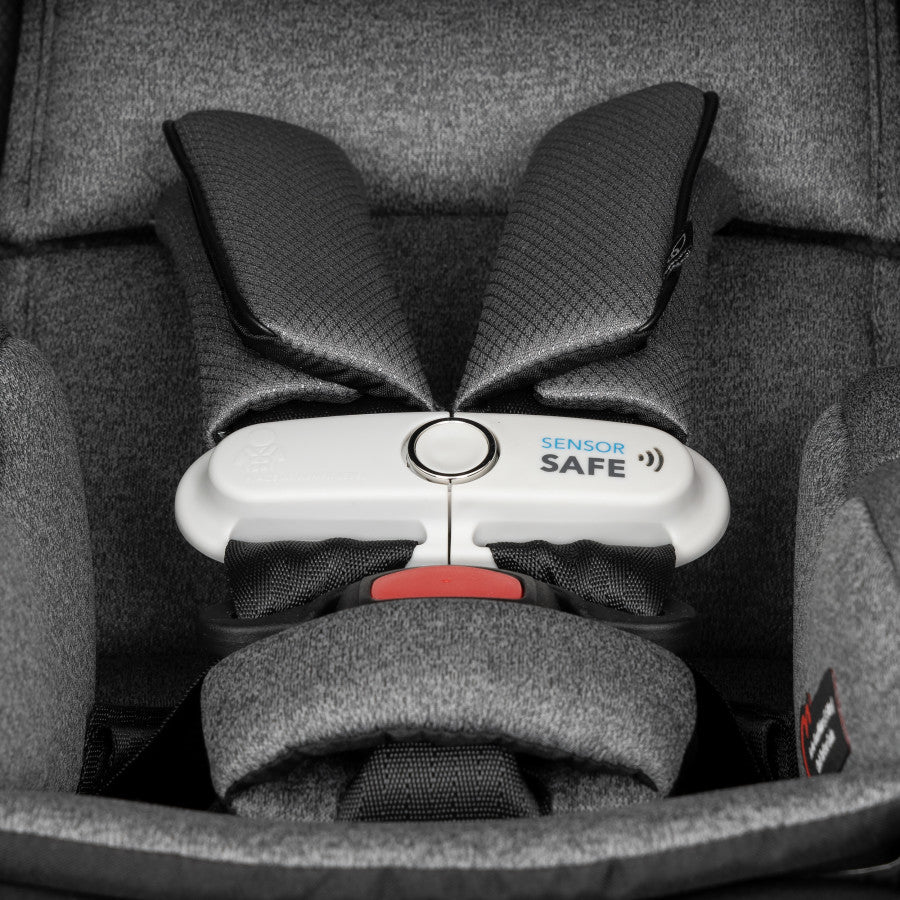 Evenflo Gold Shyft DualRide avec Carryall Storage Siège d'auto pour bébé et  poussette Combo 