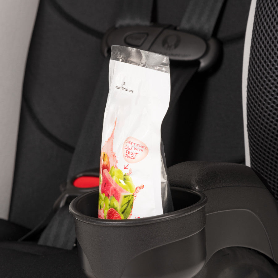 Chase Plus 2-In-1 Booster Car Seat